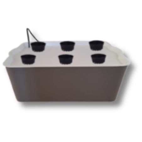 GrowBox | Compact Outdoor DWC Hydroponic Growing System