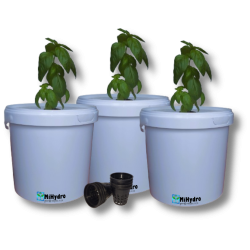 Add Buckets x 3 - Expand Your Hydroponic Grow System