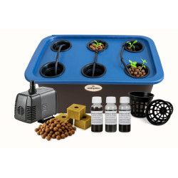 mini nft - what's in the box